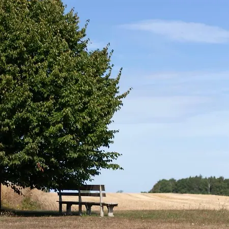 Kobbegaard 度假居
